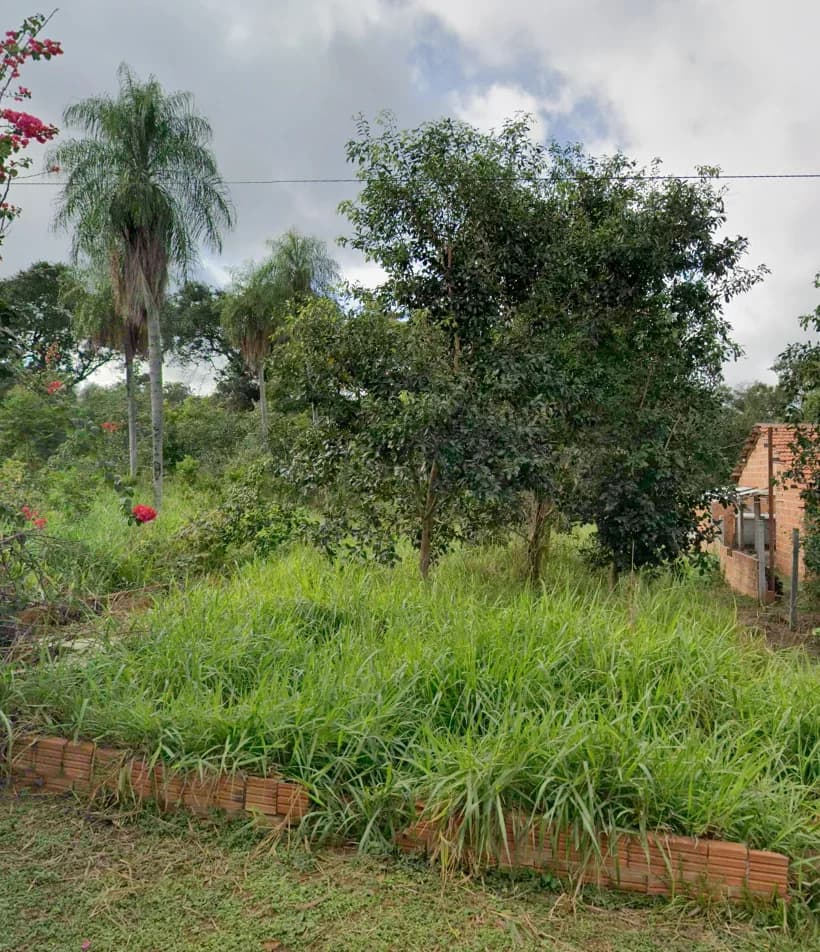 Terreno à Venda em Camisão – Em Frente ao Morro do Chapéu - imagem 2